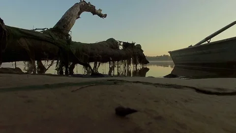 Boat and old tree trunk Stock Footage 83831624