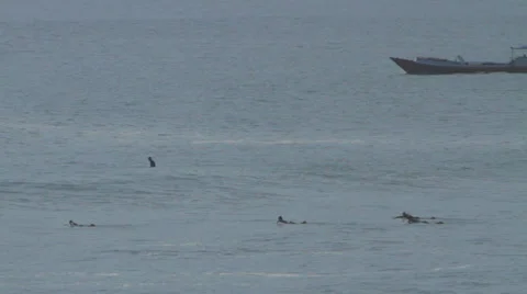 BOAT AND SURFERS IN OCEAN Stock Footage 27333339