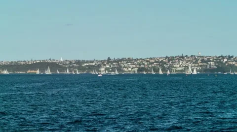 Boat and yachts traffic Time Lapse at Sydney harbor - Stock Video Stock Footage 44471291