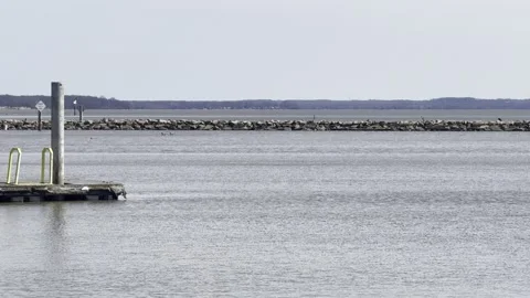 A boat approaching the dock on the Potomac River Video stock 330782599