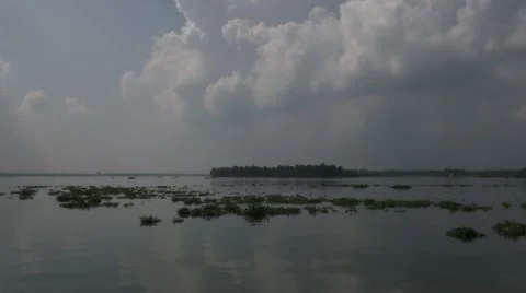 Boat in bacwaters in Kerala Video stock 52156799