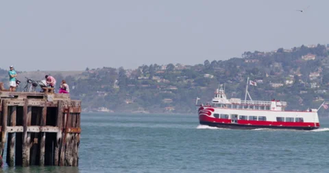 Boat in the Bay Stock Footage 37059984