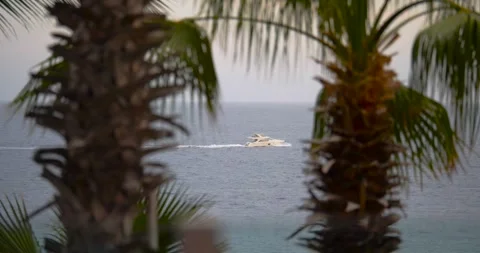 BOAT IN BETWEEN PALM TREES 库存影片 283497326