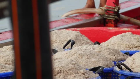 Boat with blue baskets full of freshly caught tiny shrimp, rusty winch and rope Stock Footage 346674351