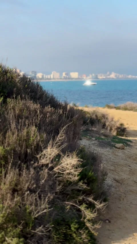Boat on blue sea with distant cityscape and dry coastal vegetation in Alicante Stock Footage 294821334