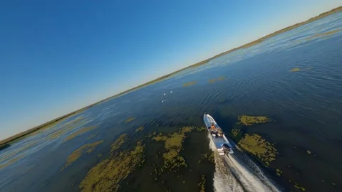 A boat chases a flock of swans Stock Footage 223667678