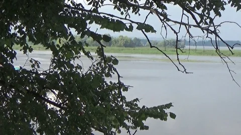 The boat comes up from behind the tree Stock Footage 81097642