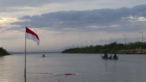 Boat competition Stock Footage 219185096
