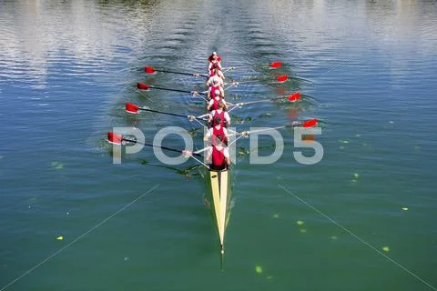 Boat coxed eight Rowers rowing Stock Photos