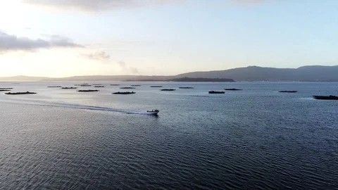 Boat crosses the sea Aereal Drone Shot Stock Footage