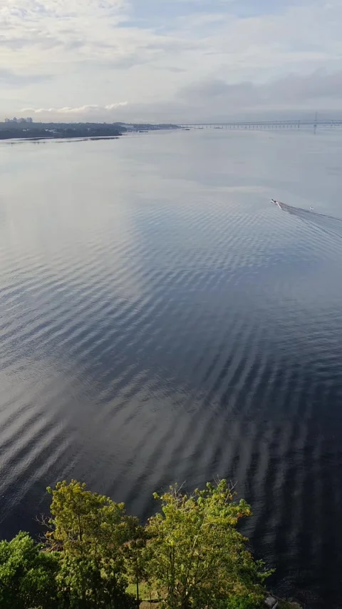 Boat crossing Amazon Black River (Rio Negro) with cable-stayed bridge on back Video stock 309121845