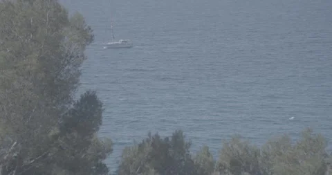 Boat Crossing Behind Trees on Calm Sea – Ungraded S log 3 4K Shot Stock Footage 320104881