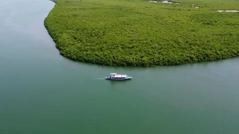 Boat cruising along a river surrounded by dense green vegetation from above Vídeos de archivo 318220505
