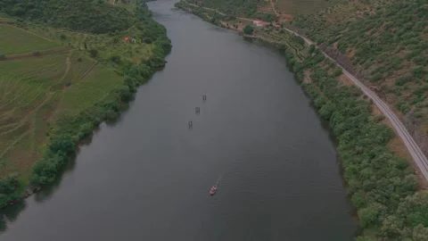 Boat cruising down Douro river through terraced valley Vidéo 336955525
