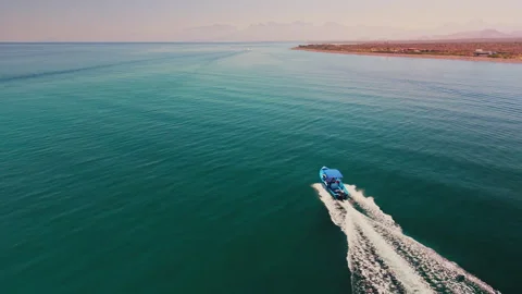 Boat cruising in the sea Stock Footage 341054795