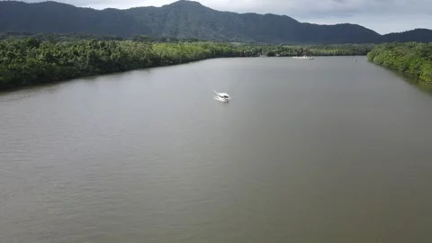 Boat On Daintree Forest River Ferry Drone Footage Stock Footage 261558036