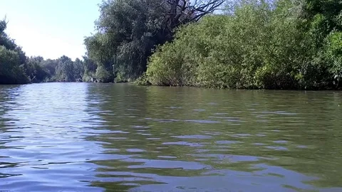 With boat into Danube Delta Stock Footage 78670197