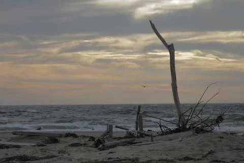 Boat debris in Cape Cod Stock Photos