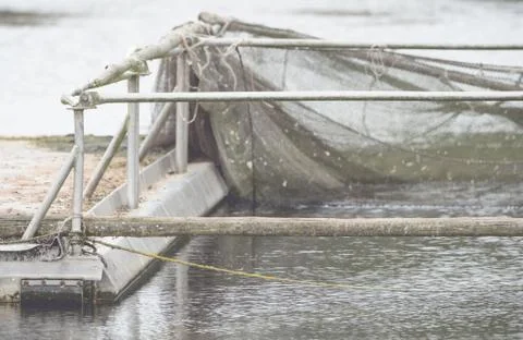A boat dock with device and net for fishing Foto stock