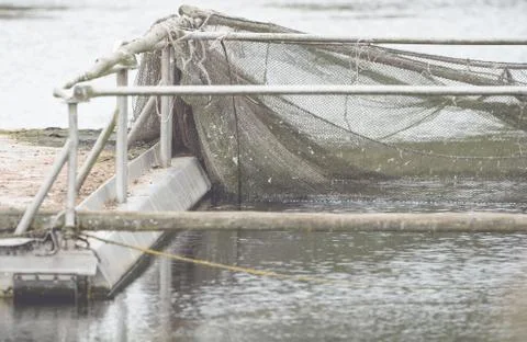 A boat dock with device and net for fishing Foto stock