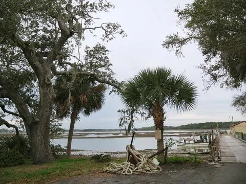 Boat Dock In Lowland Marsh Stock Photos