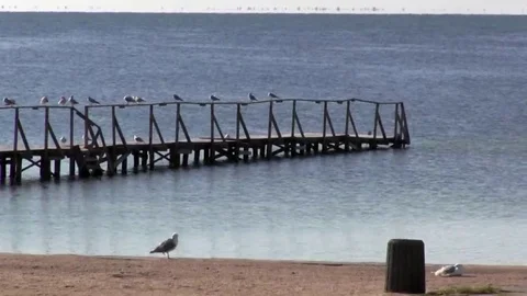 Boat dock at the sea pier. Pacification autumn nature. Stock Footage 69206193