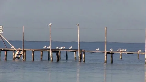Boat dock at the sea pier. Pacification autumn nature. Stock Footage 69206229