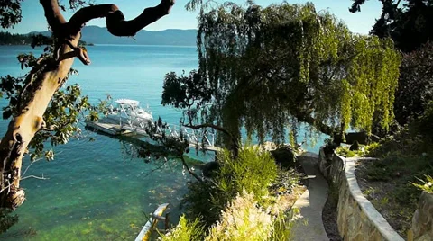 Boat Dock, Water View through Willow Tree Stock Footage 39508740