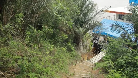 Boat docked in forest Video stock 153097010