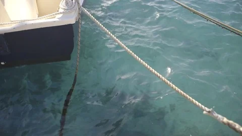 Boat docked with the tops Stock Footage 71375680