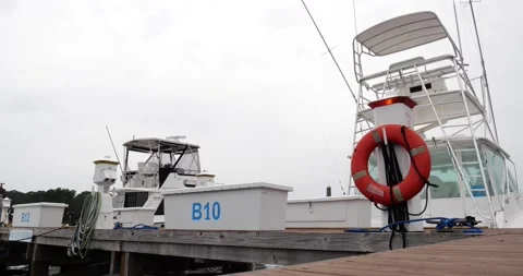 Boat Docks in Florida Stock Footage 160858123