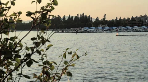 Boat Docks Lake CDA 库存影片 32359539