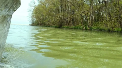 By the boat down the river along the coast overgrown with the wood Stock Footage 107161834