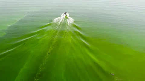 The boat drags a man on a wakeboard along the green water surface Stock Footage 135830843