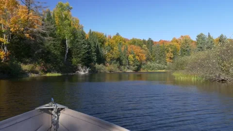 Boat drive on river and fall colors in Canada Stock Footage 159203786