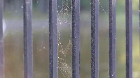 Boat drive by on river Stockbeeldmateriaal 46219183