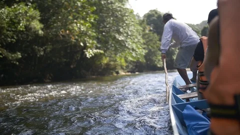 Boat driver up river Stock Footage 88070416