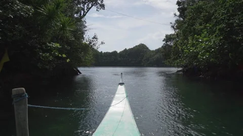 Boat driving on water through gap in Jungle Video stock 231756542