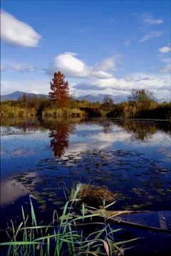 Boat fall down autumn 库存照片