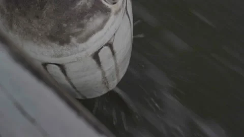 Boat Floater Video stock 237874036