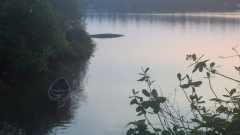 Boat on the floating back water Stock Footage 112240824