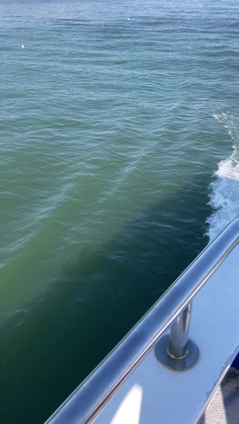 Boat Floating on the Bay of İzmir (Vertical Video) Vídeos de archivo 335254305
