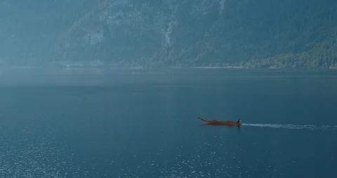 Boat floating on Hallstatt lake Stock Footage 114746879