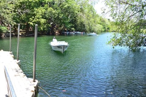 A boat is floating in a river with a dock in the la Tovara cocodrile farm Stock Photos
