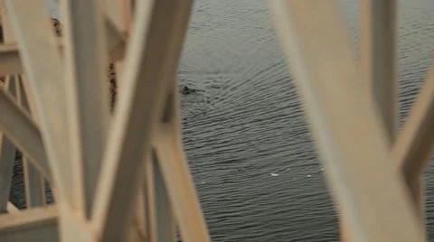 Boat floating under a bridge in Sri Lanka Stock Footage 49365743
