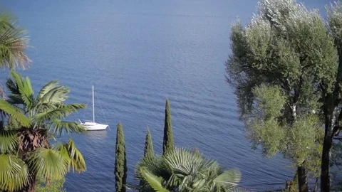 Boat floating on water between trees Video stock 79674128
