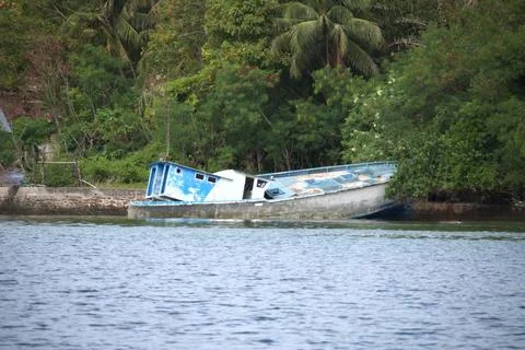 A boat is floating in the water with a tree in the background Stock-Fotos