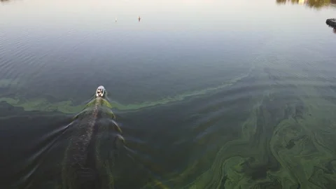 A boat floats on a dirty river Stock Footage 160683952