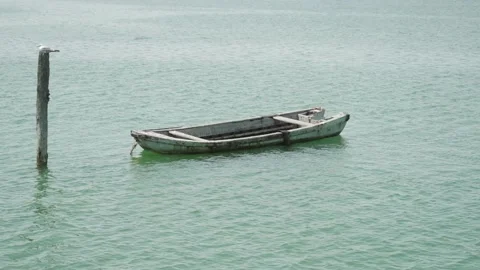 Boat floats on the lagoon Stock-Footage 220684878