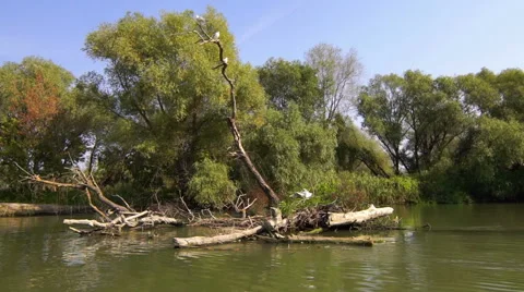 Boat Floats on the River. Stock Footage 55516293